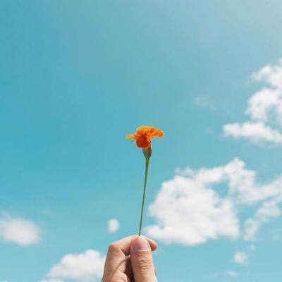 足球游戏手机app下载